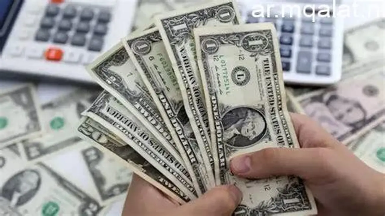 استقرار سعر صرف الدولار في مصر خلال تعاملات يوم الجمعة الموافق الثالث عشر